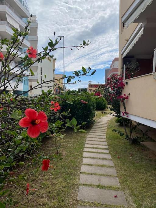 Alguer Zizi Daire Dış mekan fotoğraf